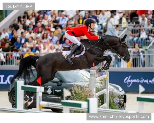 瑞士马术协会授予皮乌斯·施维泽“年度最佳障碍赛骑手”称号。