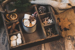 乐鱼体育-NBA赛季助攻王表现动态，nba本赛季助攻王