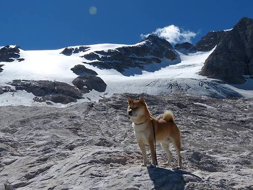 混合泳项目瑞士选手表现均衡,混合泳比赛视频
