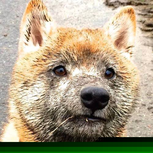 乐鱼体育官网登录-职业联赛季前训练营开放球迷参观提升粉丝参与感，职业联赛的要求