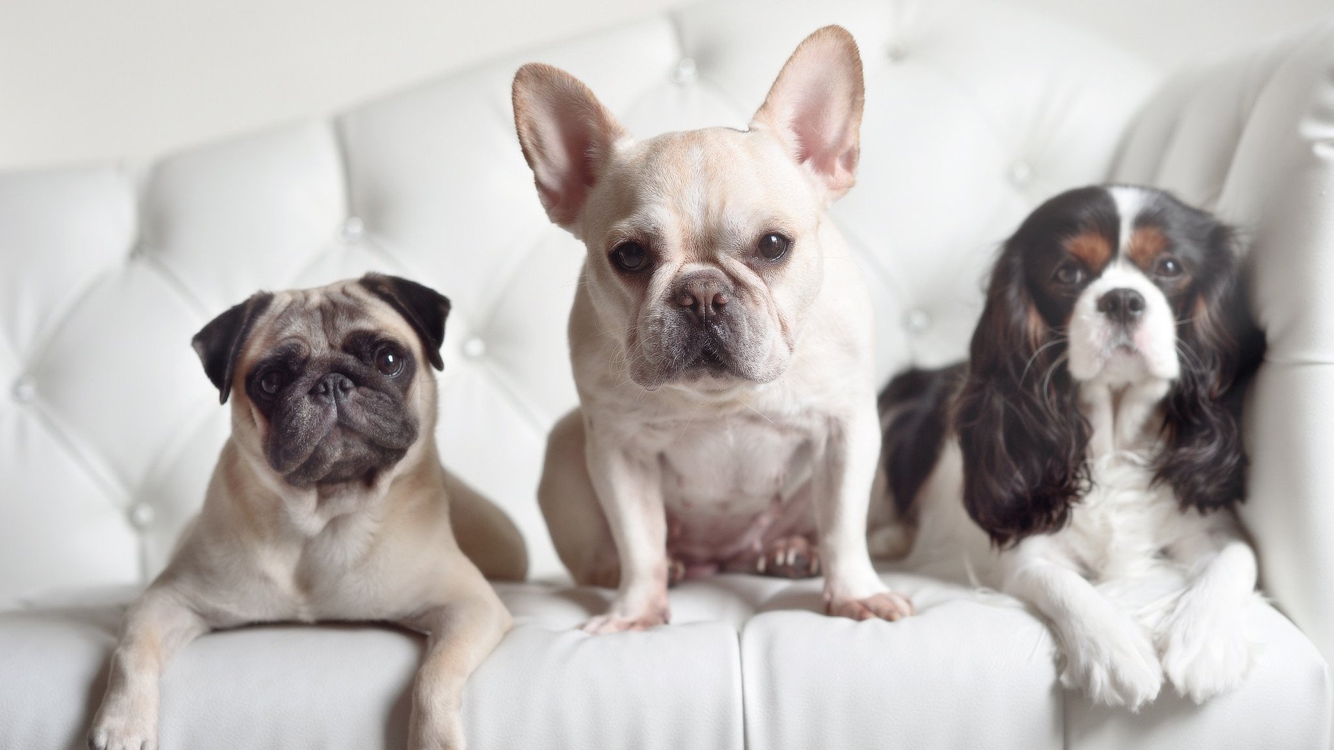 青少年篮球挑战营引入分组对抗提高临场判断与协作能力，青少年篮球队训练视频