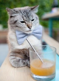 乐鱼体育在线登陆-1亿转会费巨星亮相欧冠，尤文多特对决引爆悬念，尤文4亿